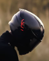 CEO